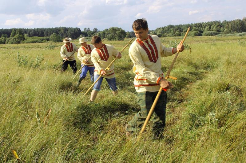 Косьба сена