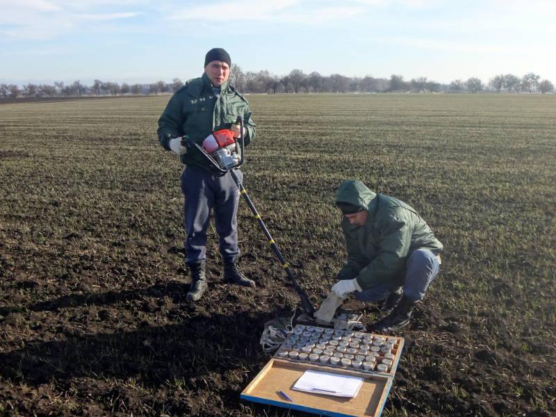 Агрономическое обследование поля