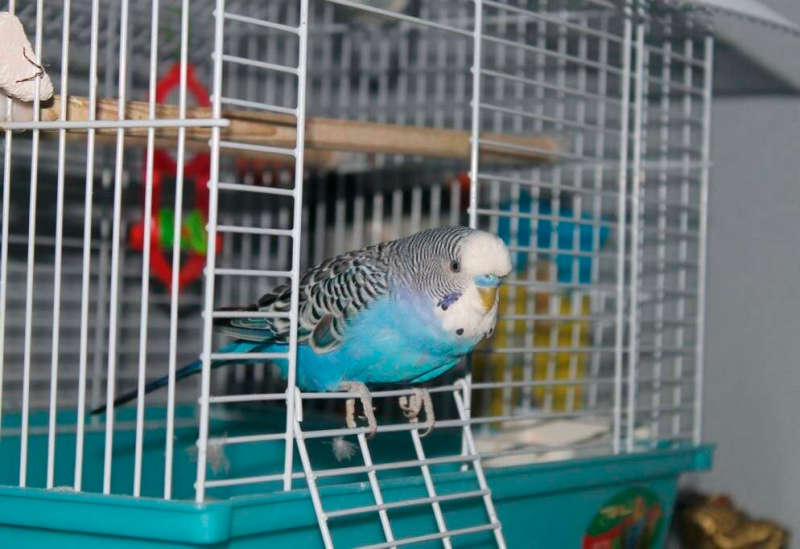 Оформление витрины магазина