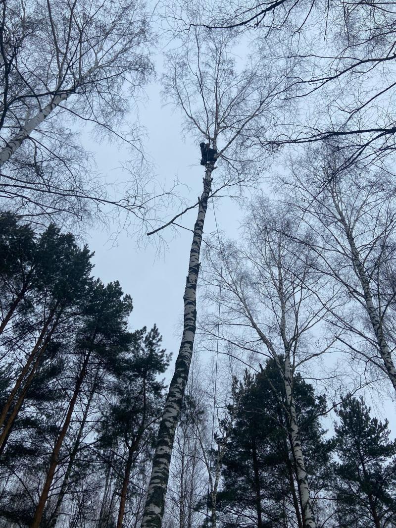 Удаление деревьев кровельные высотные работы.