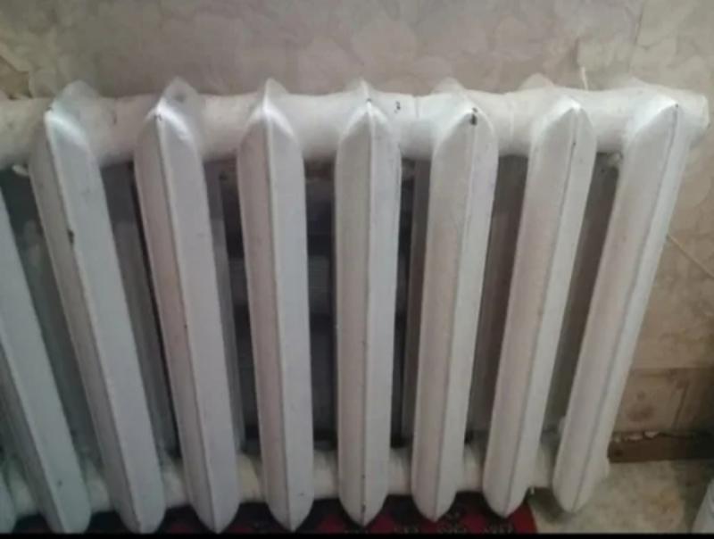 Ветеринарный осмотр животных