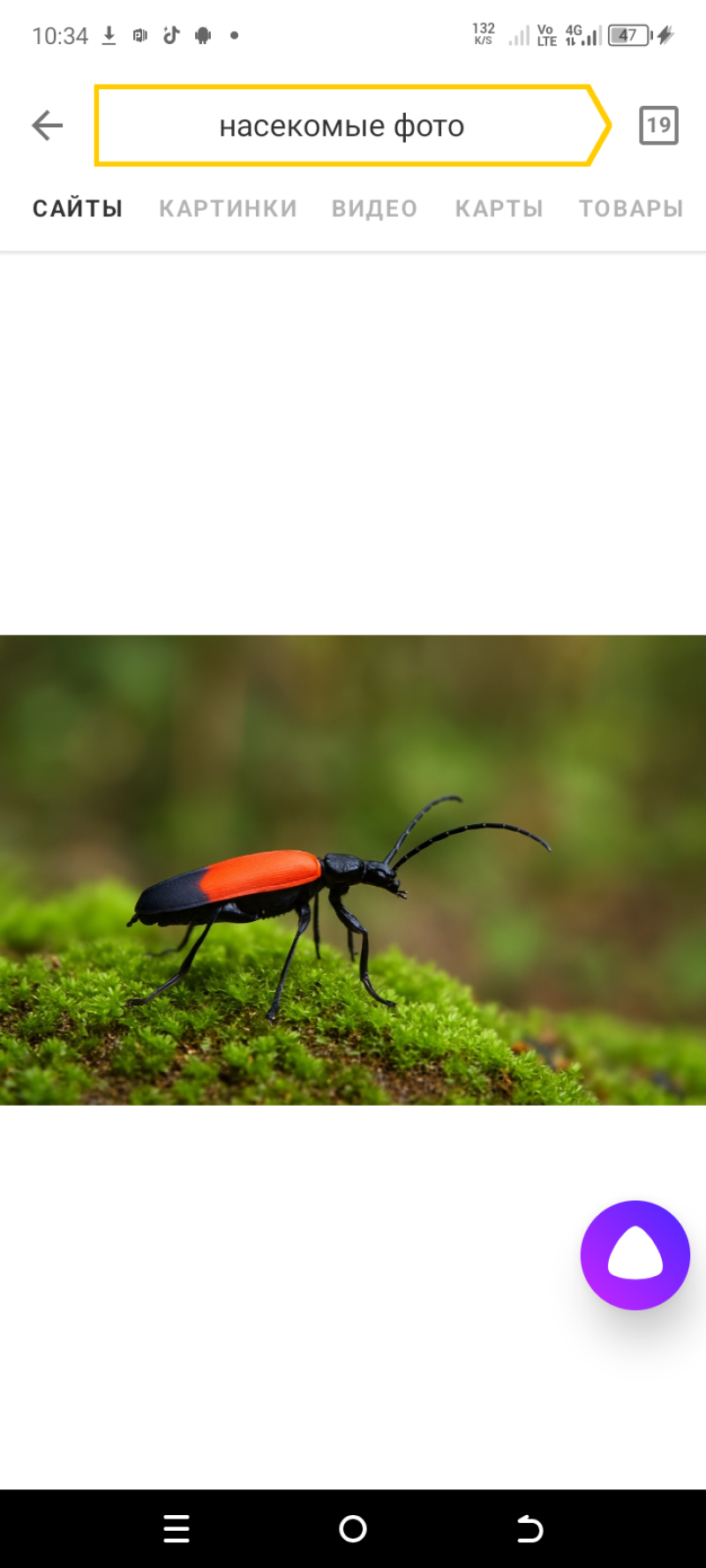 Обработка от насекомых