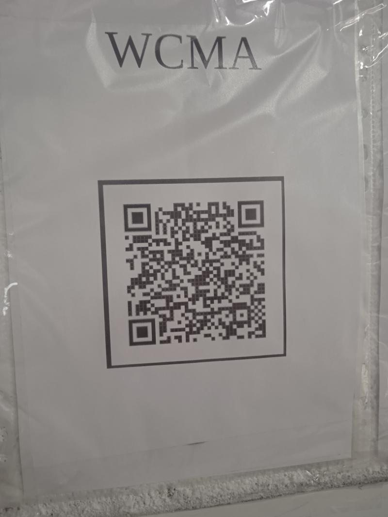 Максим Райский